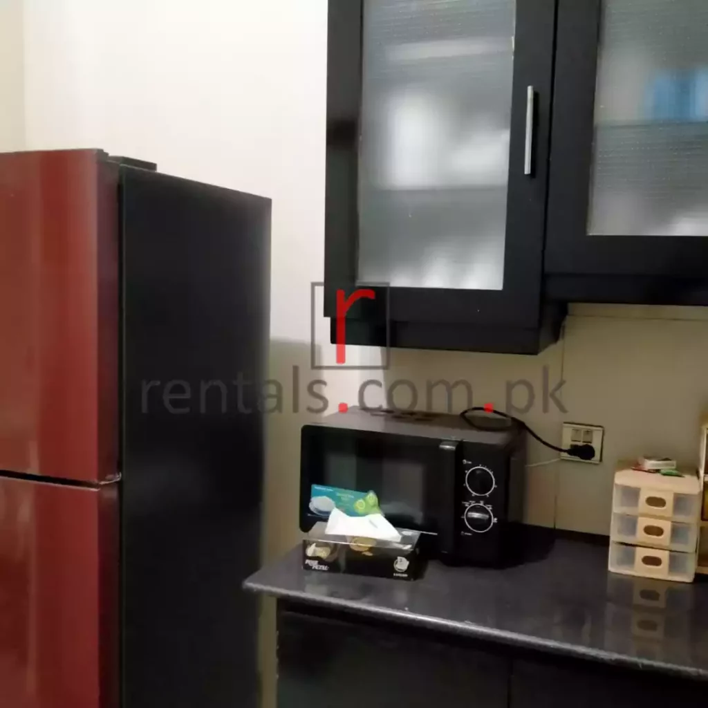 id 9083 Furnished 1 Kanal Gorgeous Upper Portion For Rent In Prime Lo (3)